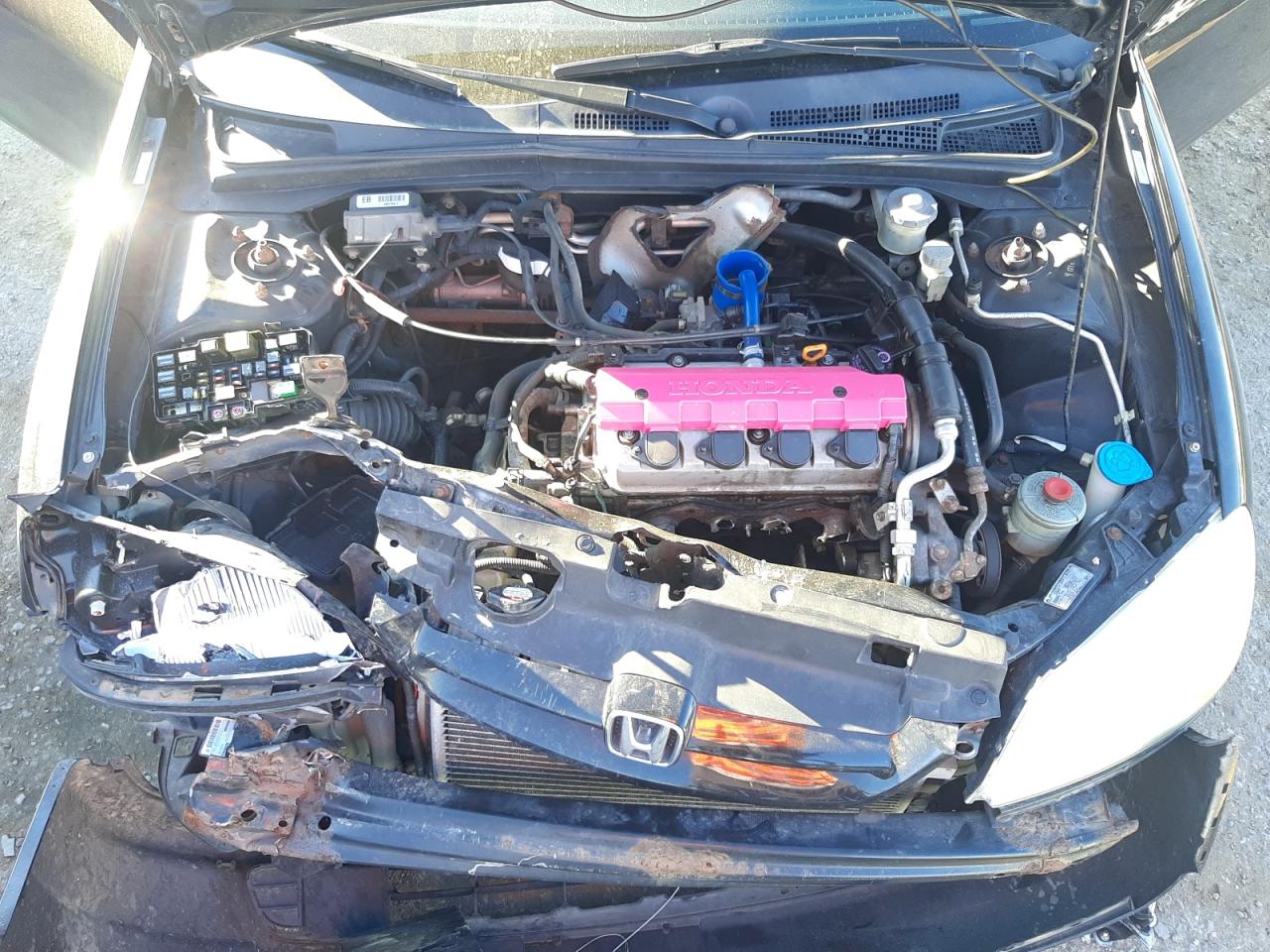 Photo 7 from auction – 2001 HONDA CIVIC LX with VIN 1HGEM21511L066817