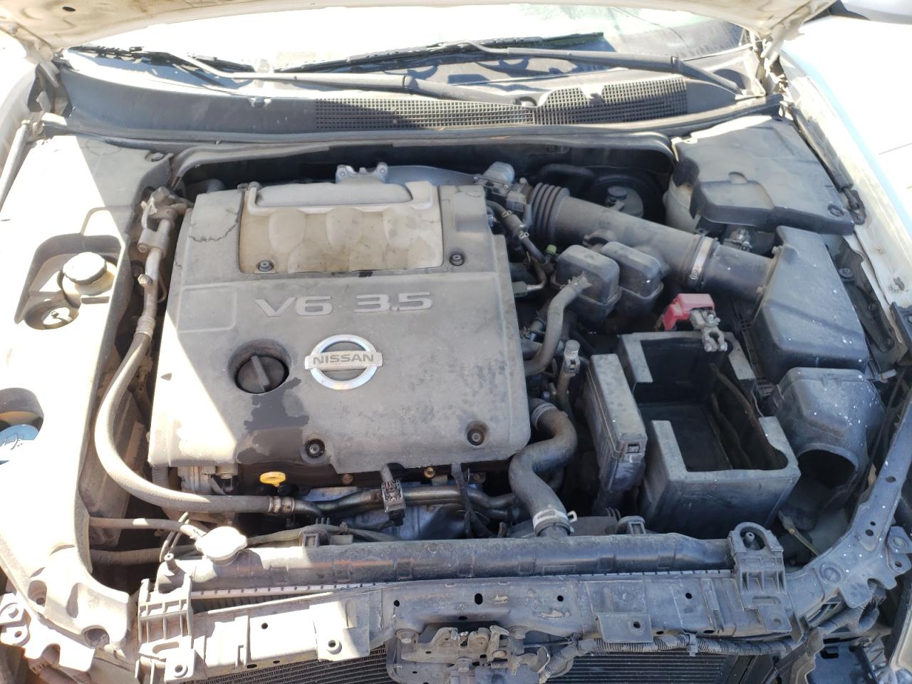 Photo 7 from auction – 2006 NISSAN MAXIMA SE with VIN 1N4BA41E46C818755