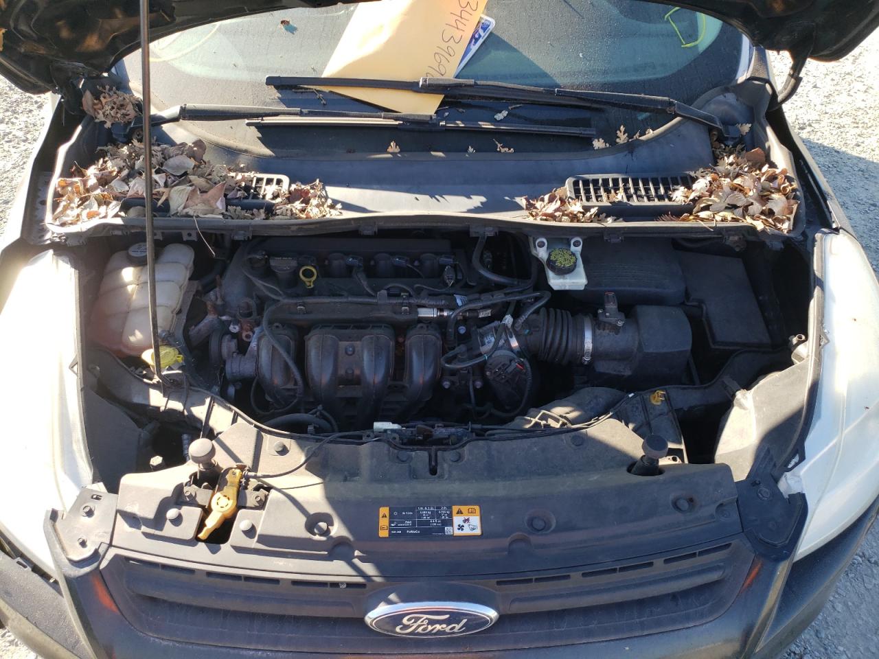 Photo 7 from auction – 2013 FORD ESCAPE S with VIN 1FMCU0F79DUB15938