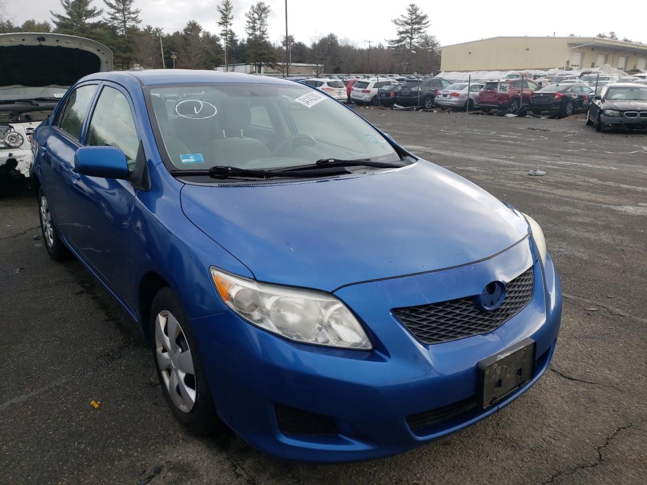 TOYOTA COROLLA BA 2009 with VIN 2T1BU40E09C072836 - Photo from auction