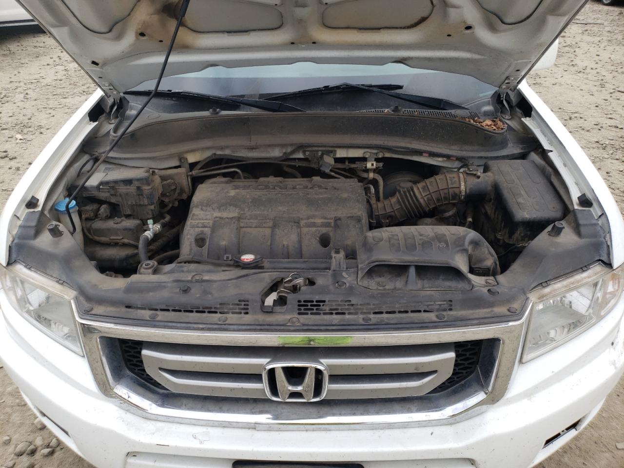 Photo 7 from auction – 2010 HONDA RIDGELINE with VIN 5FPYK1F46AB006716