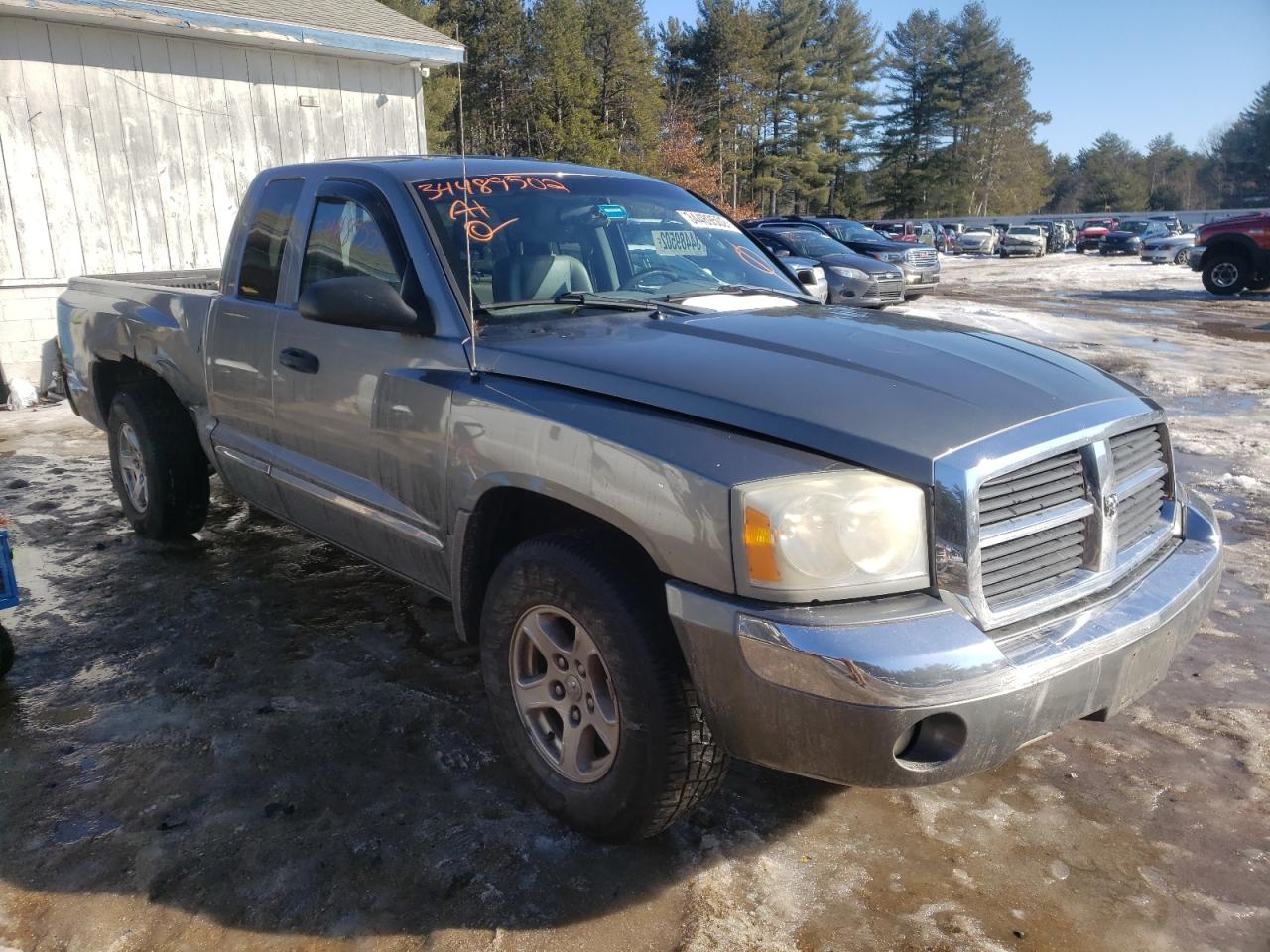 DODGE DAKOTA LAR 2005 with VIN 1D7HW52K95S163891 - Photo from auction