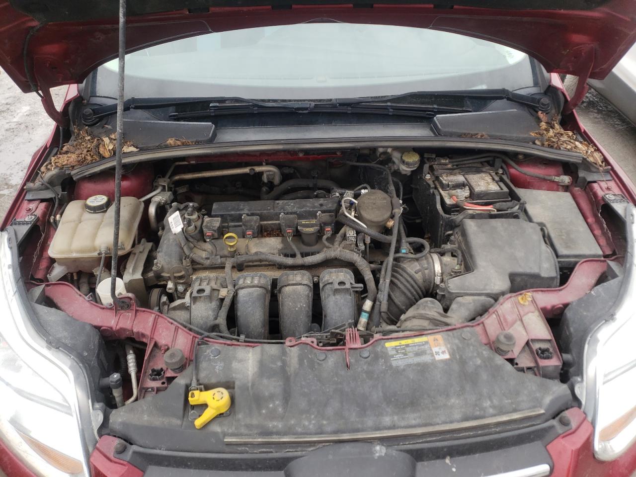 Photo 7 from auction – 2013 FORD FOCUS SE with VIN 1FADP3K21DL114130