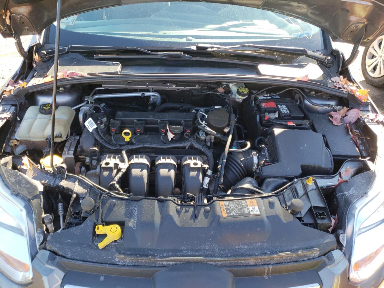 Photo 7 from auction – 2014 FORD FOCUS SE with VIN 1FADP3F24EL319680