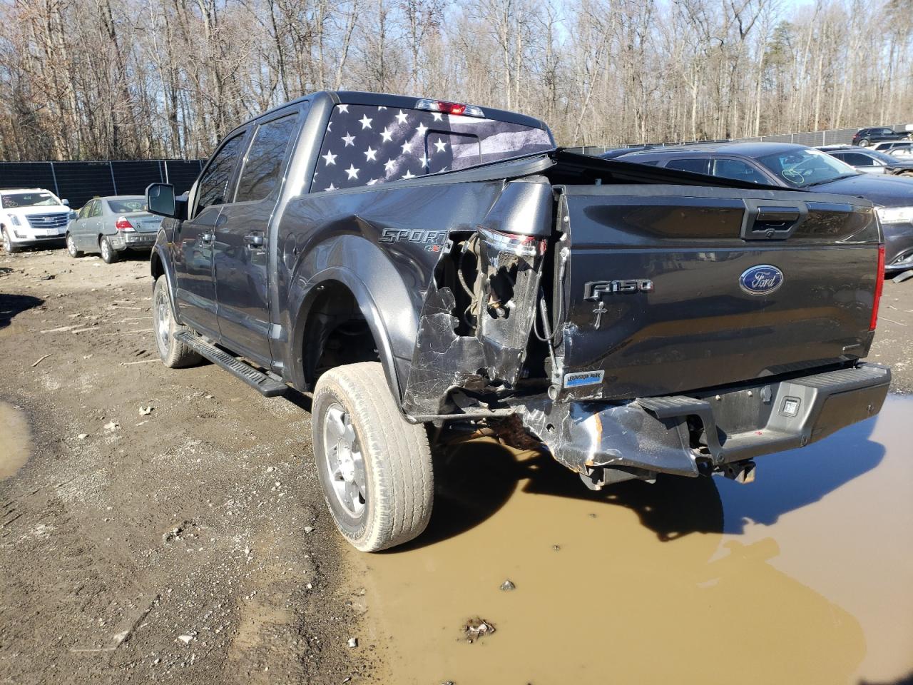 Photo 3 from auction – 2015 FORD F150 SUPER with VIN 1FTEW1EF9FFC48356