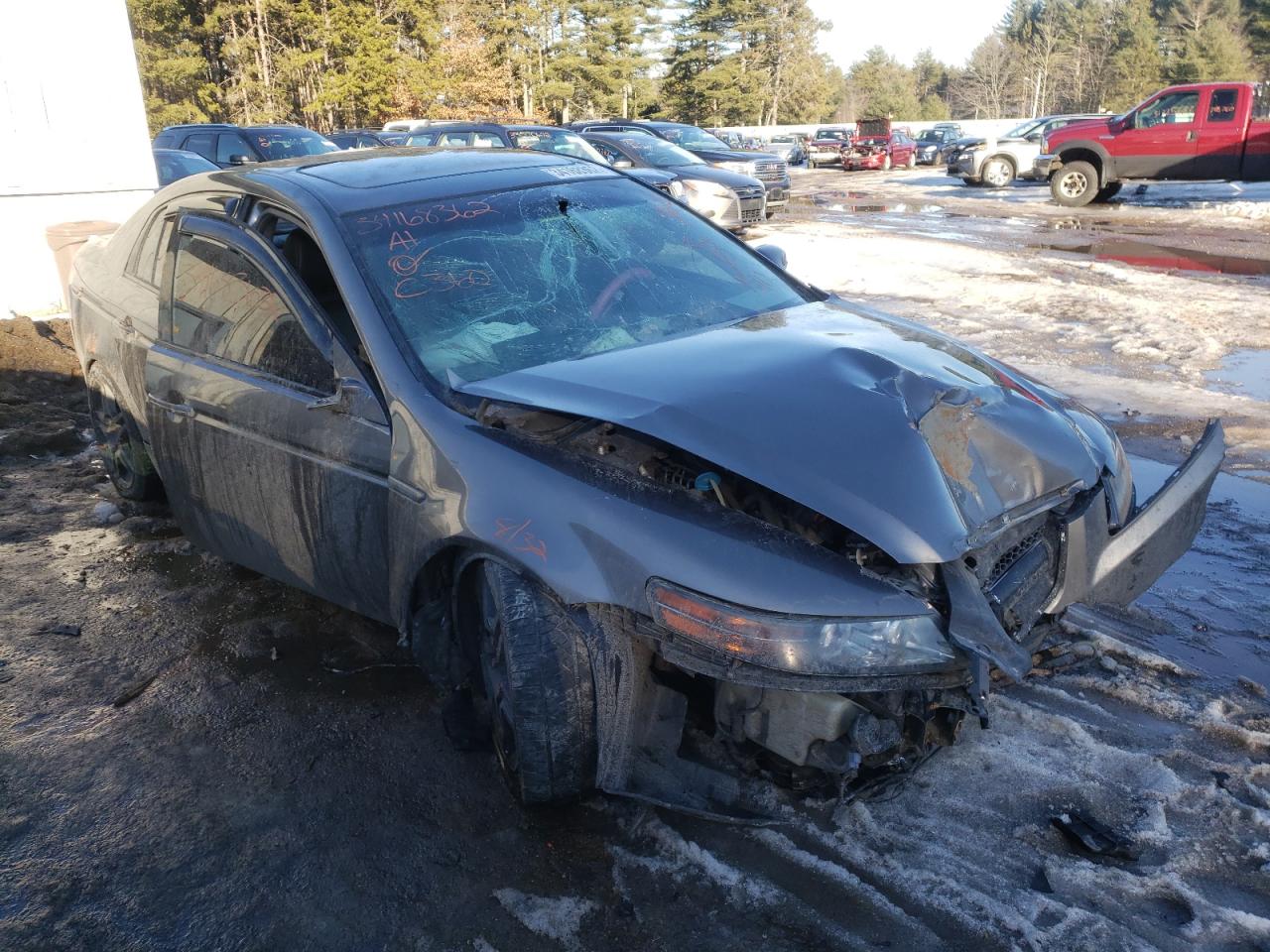 ACURA TL 2008 with VIN 19UUA66288A023284 - Photo from auction