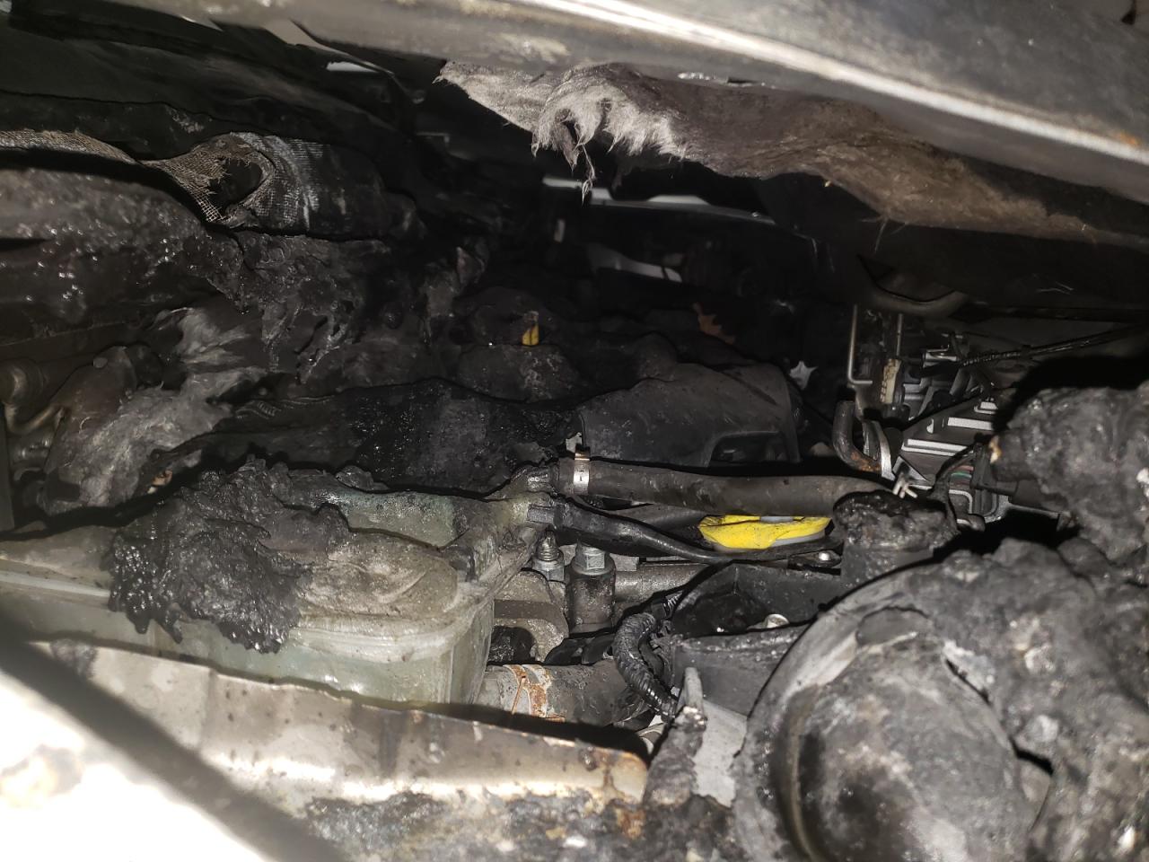 Photo 9 from auction – 2013 FORD ESCAPE SE with VIN 1FMCU0GX8DUD17202
