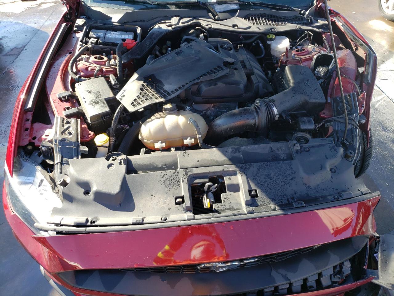 Photo 7 from auction – 2019 FORD MUSTANG with VIN 1FA6P8TH2K5179224