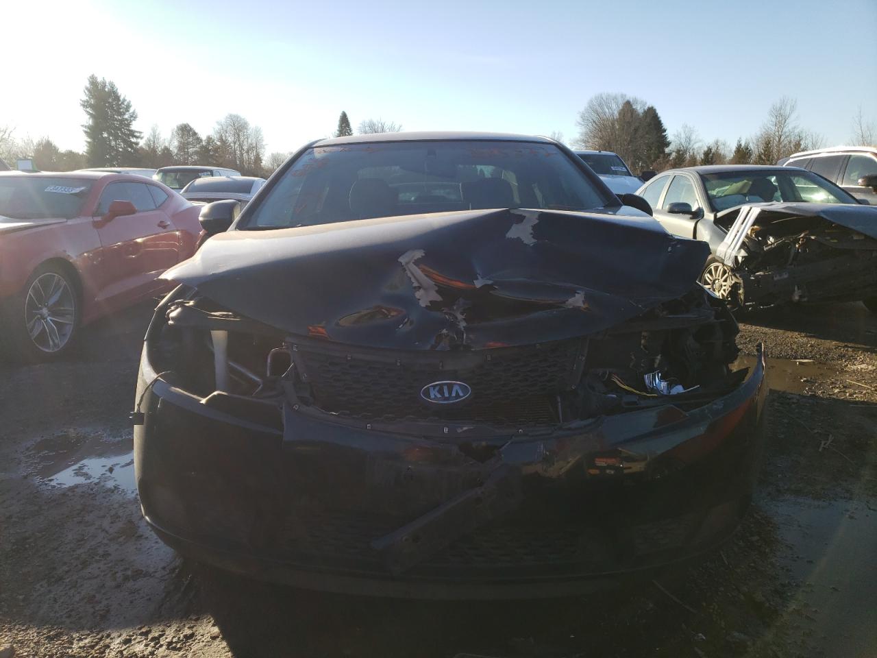 Photo 9 from auction – 2011 KIA FORTE EX with VIN KNAFU4A20B5451969