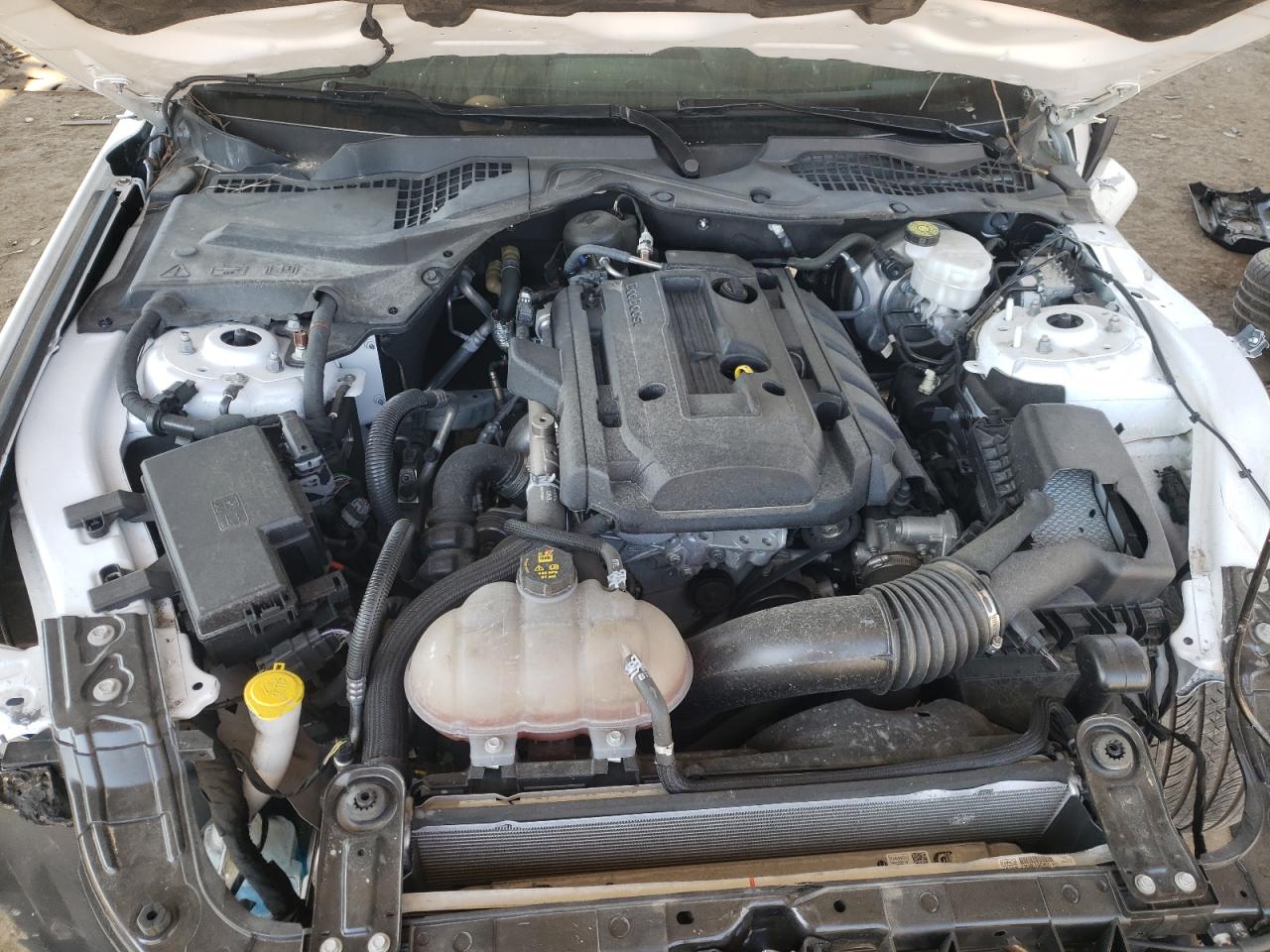 Photo 7 from auction – 2019 FORD MUSTANG with VIN 1FA6P8TH6K5172535