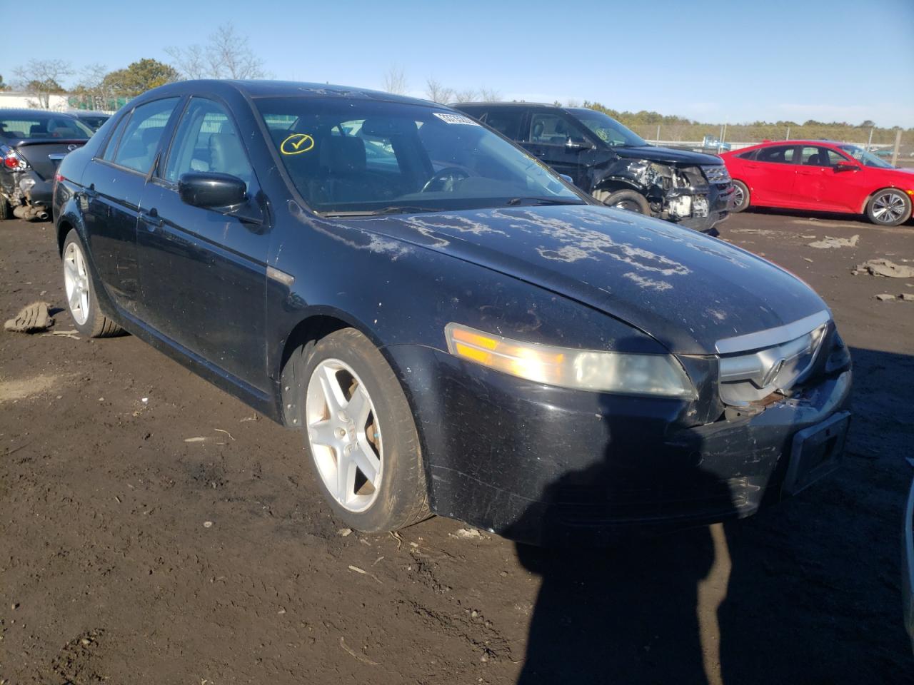 Photo 1 from auction – 2004 ACURA TL with VIN 19UUA66224A020567