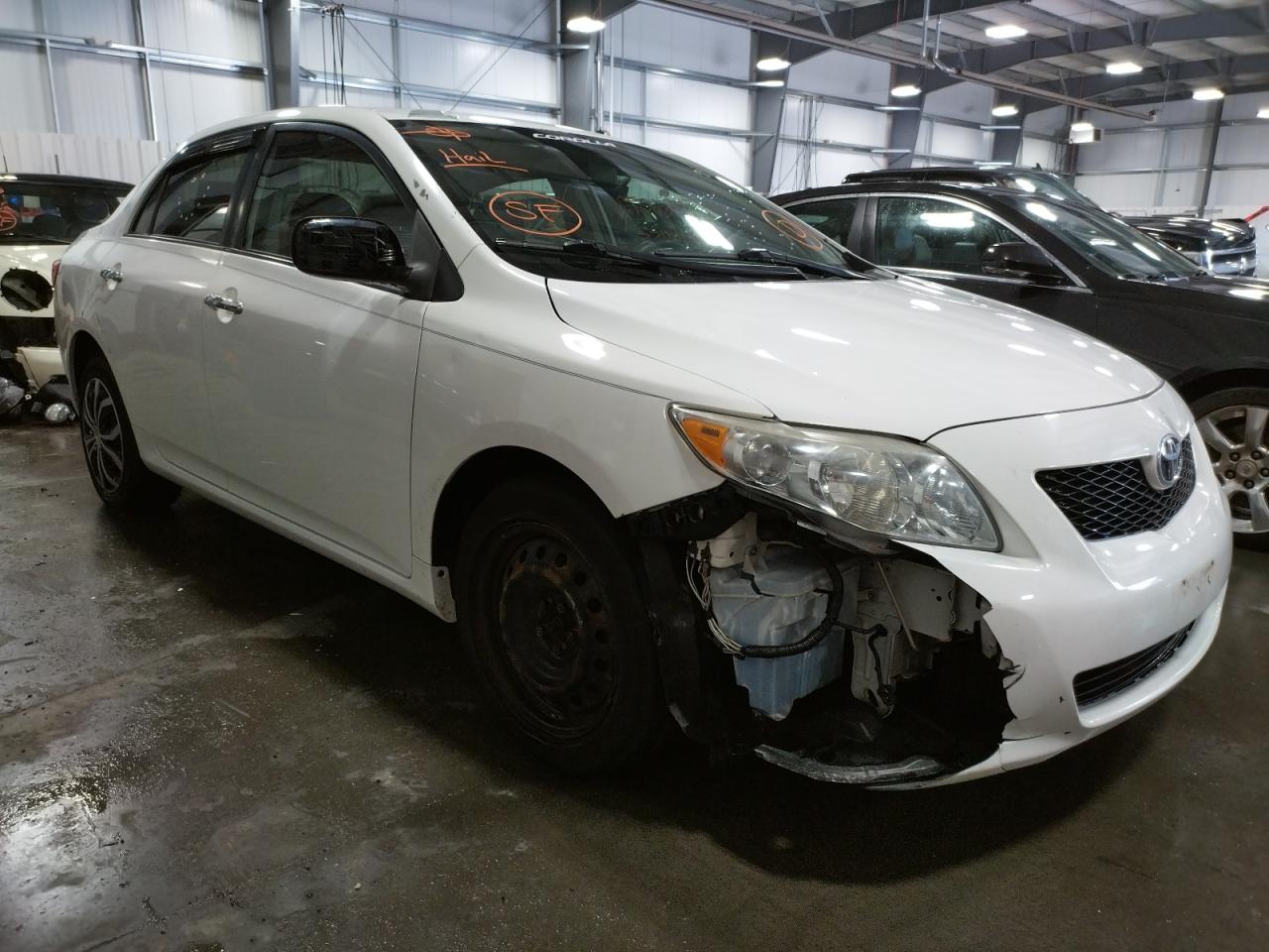 TOYOTA COROLLA BA 2009 with VIN JTDBL40E79J024399 - Photo from auction