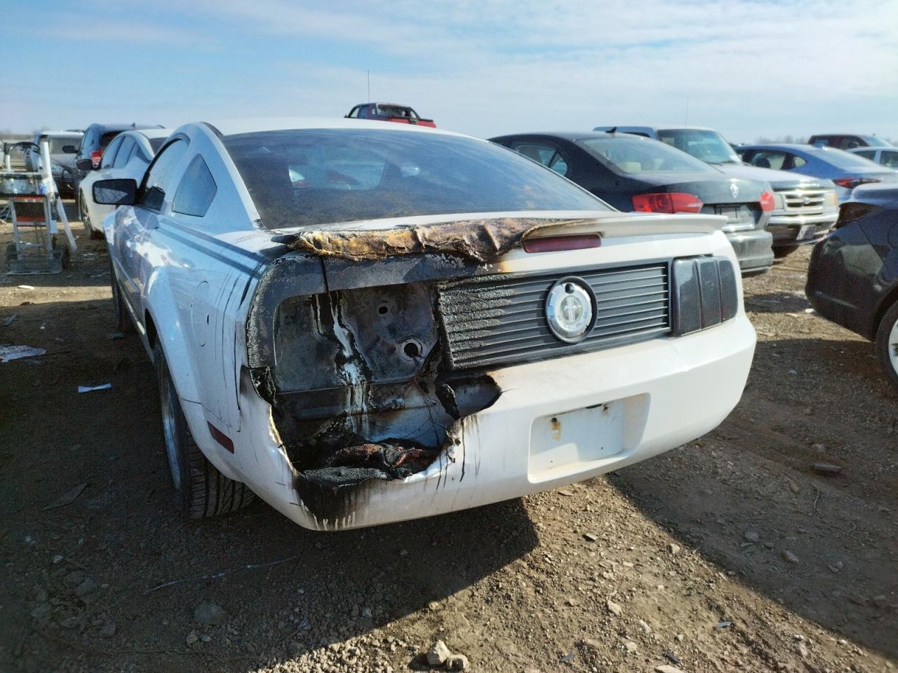 Photo 3 from auction – 2007 FORD MUSTANG with VIN 1ZVFT80NX75291497