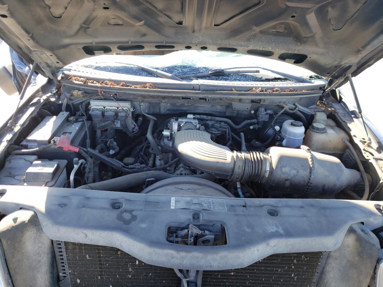 Photo 7 from auction – 2005 FORD F150 SUPER with VIN 1FTRW12W55FA39183