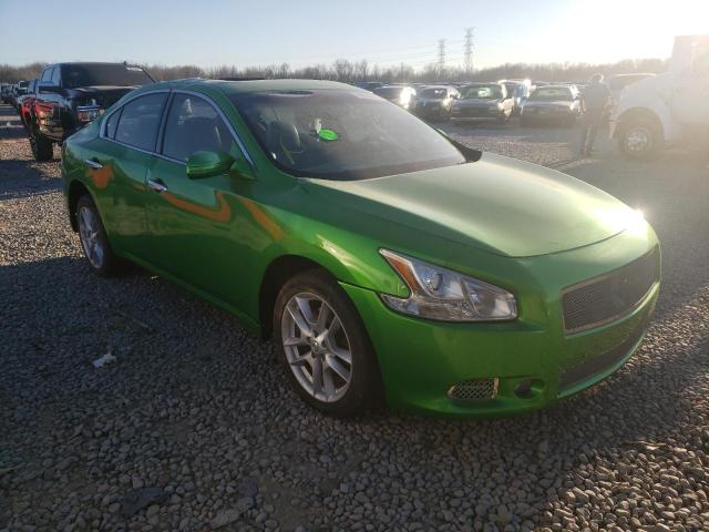 NISSAN MAXIMA S 2009 with VIN 1N4AA51E29C853686 - Photo from auction