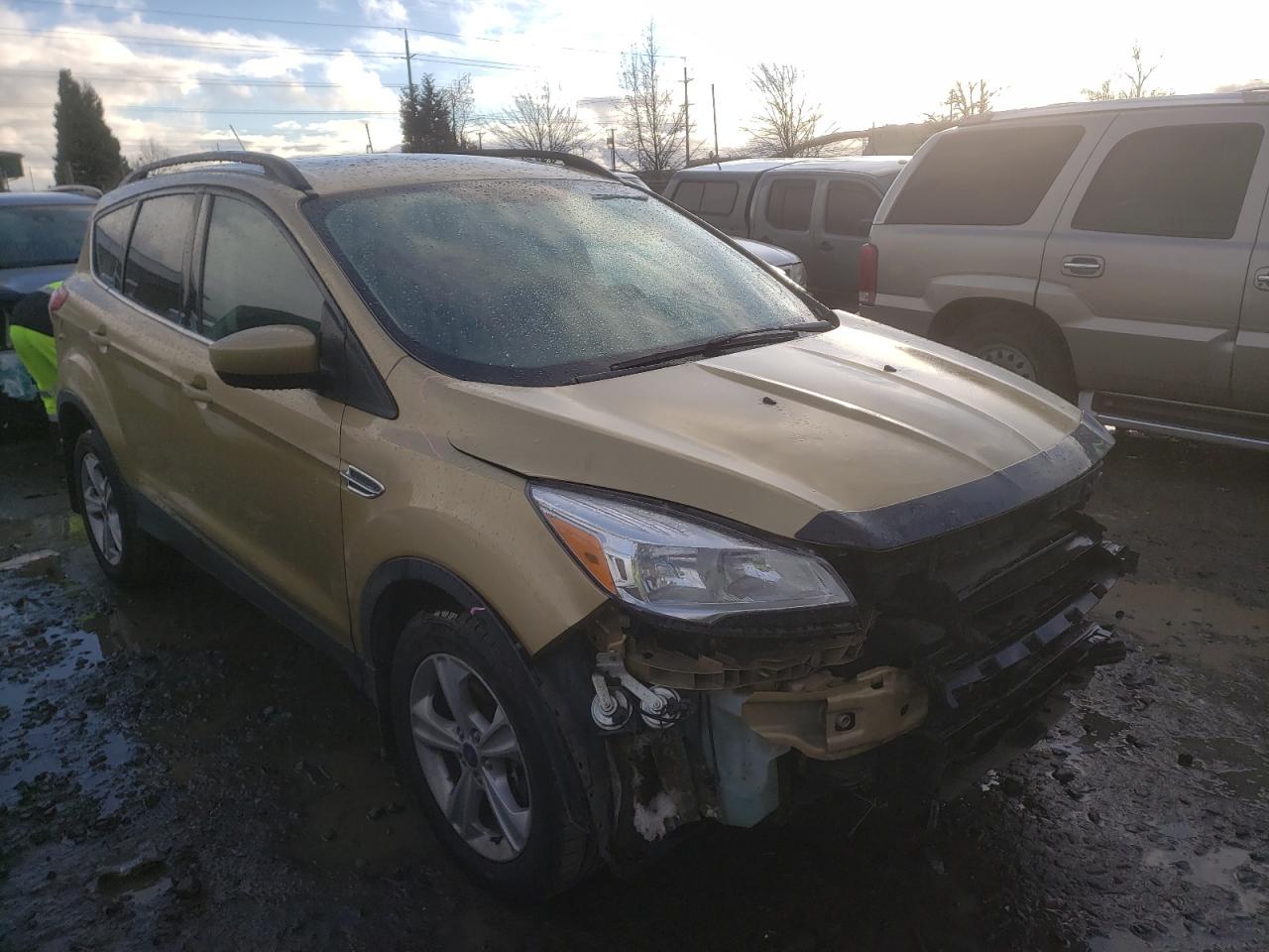 FORD ESCAPE SE 2014 with VIN 1FMCU9G99EUD34596 - Photo from auction