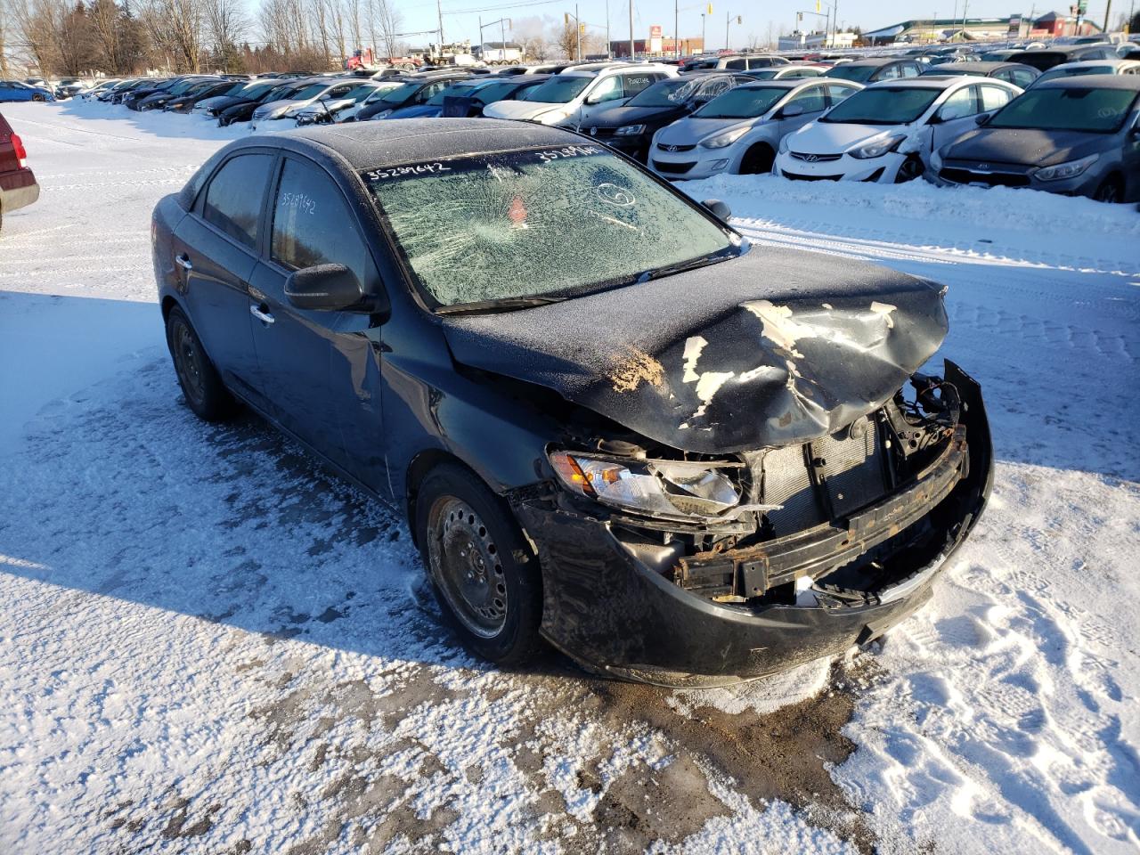 KIA FORTE EX 2013 with VIN KNAFU4A28D5685926 - Photo from auction