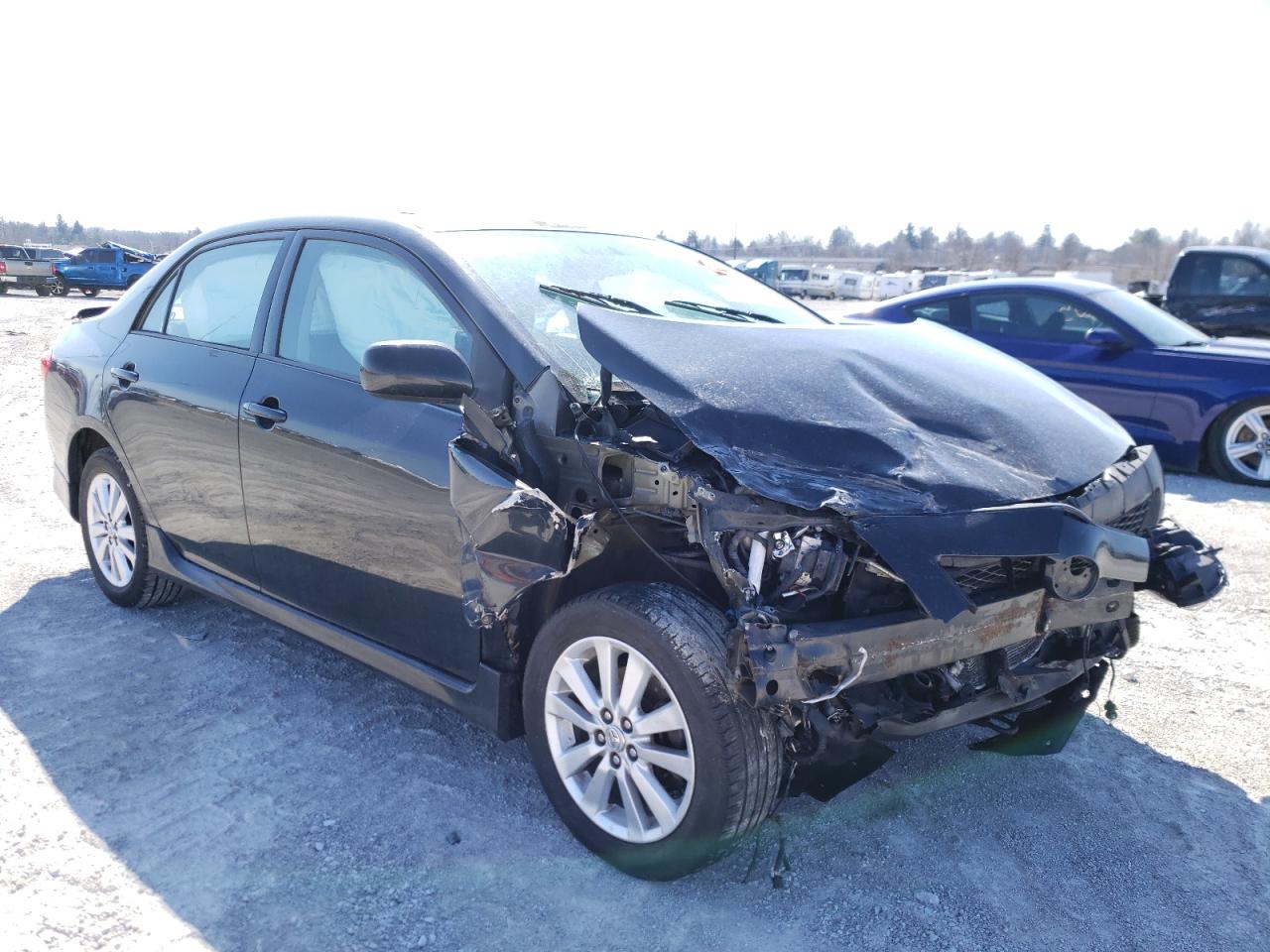 TOYOTA COROLLA BA 2010 with VIN 1NXBU4EE6AZ305436 - Photo from auction