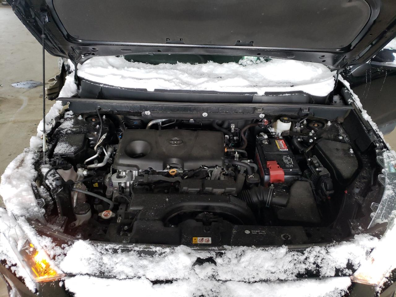 Photo 7 from auction – 2020 TOYOTA RAV4 XLE with VIN 2T3P1RFV0LC063913