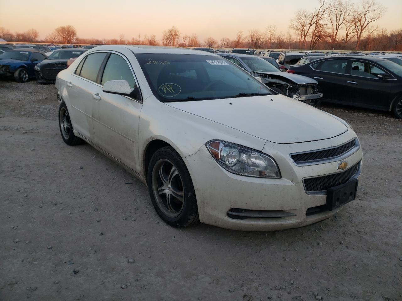 CHEVROLET MALIBU 1LT 2011 with VIN 1G1ZC5E19BF298165 - Photo from auction