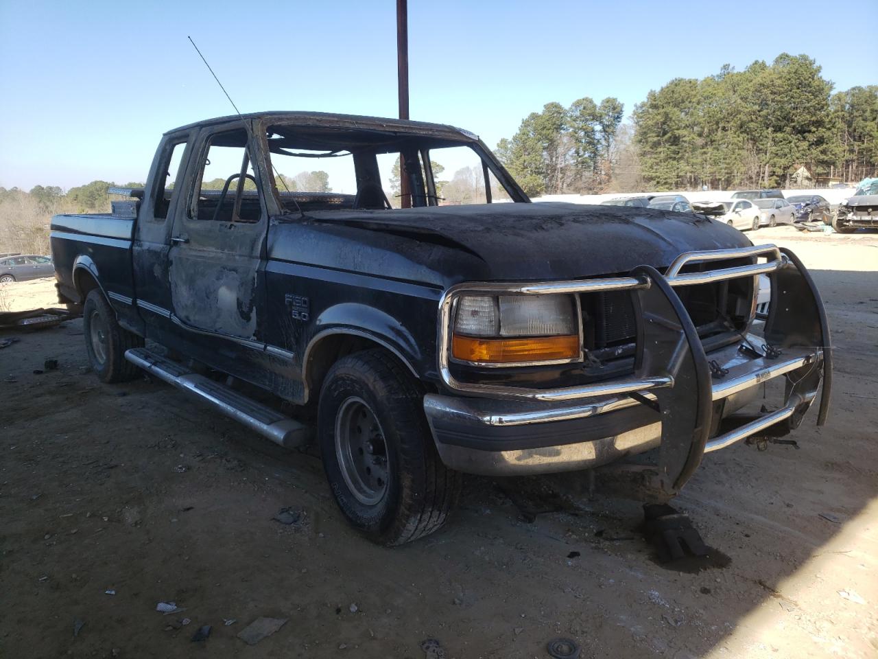 FORD F150 1996 with VIN 1FTEX15N8TKA09338 - Photo from auction