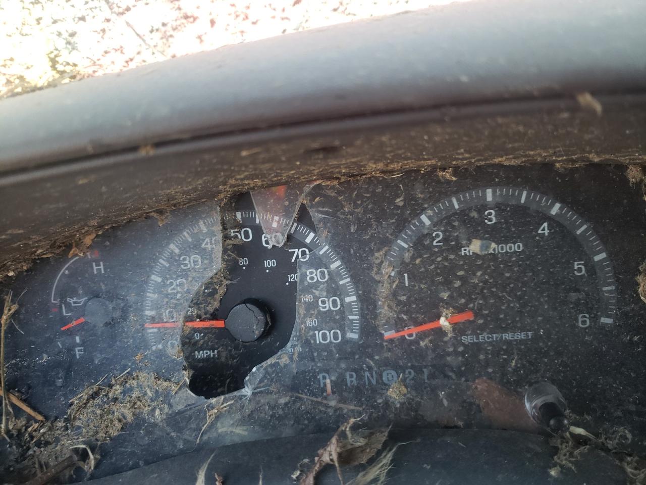 Photo 8 from auction – 2001 FORD F150 SUPER with VIN 1FTRW07LX1KC00864