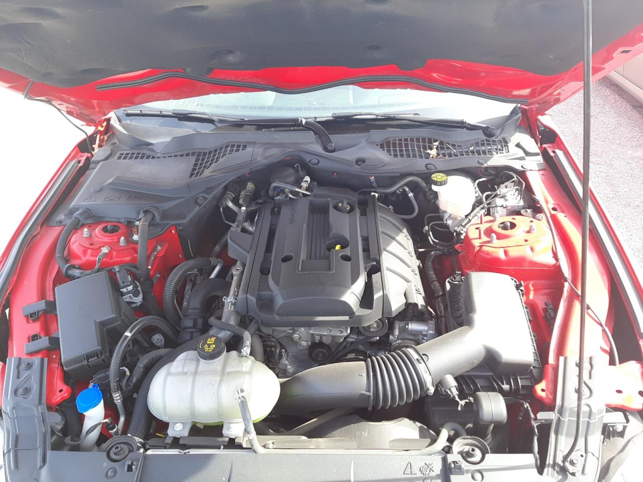 Photo 7 from auction – 2020 FORD MUSTANG with VIN 1FA6P8TH5L5163424