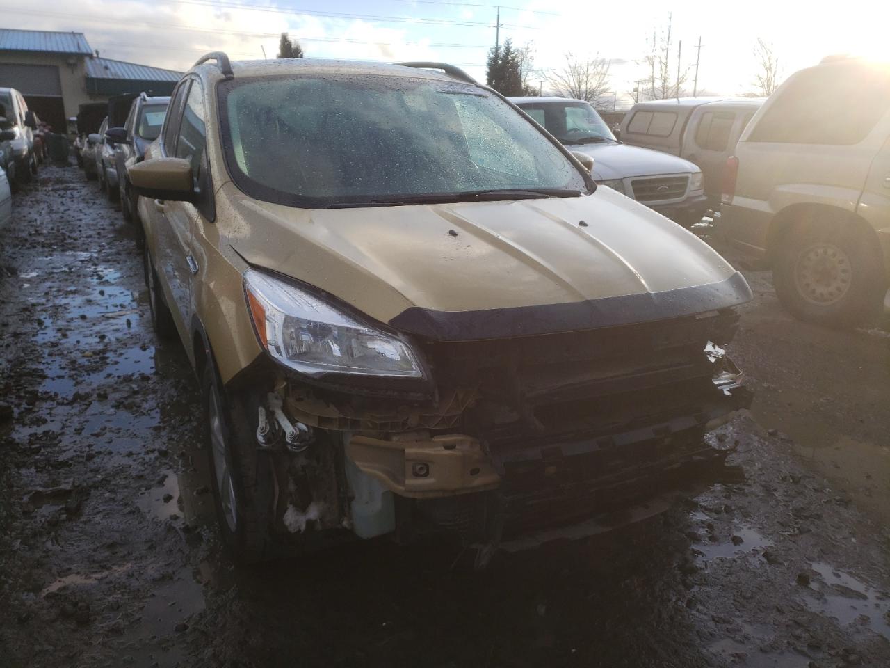 Photo 9 from auction – 2014 FORD ESCAPE SE with VIN 1FMCU9G99EUD34596