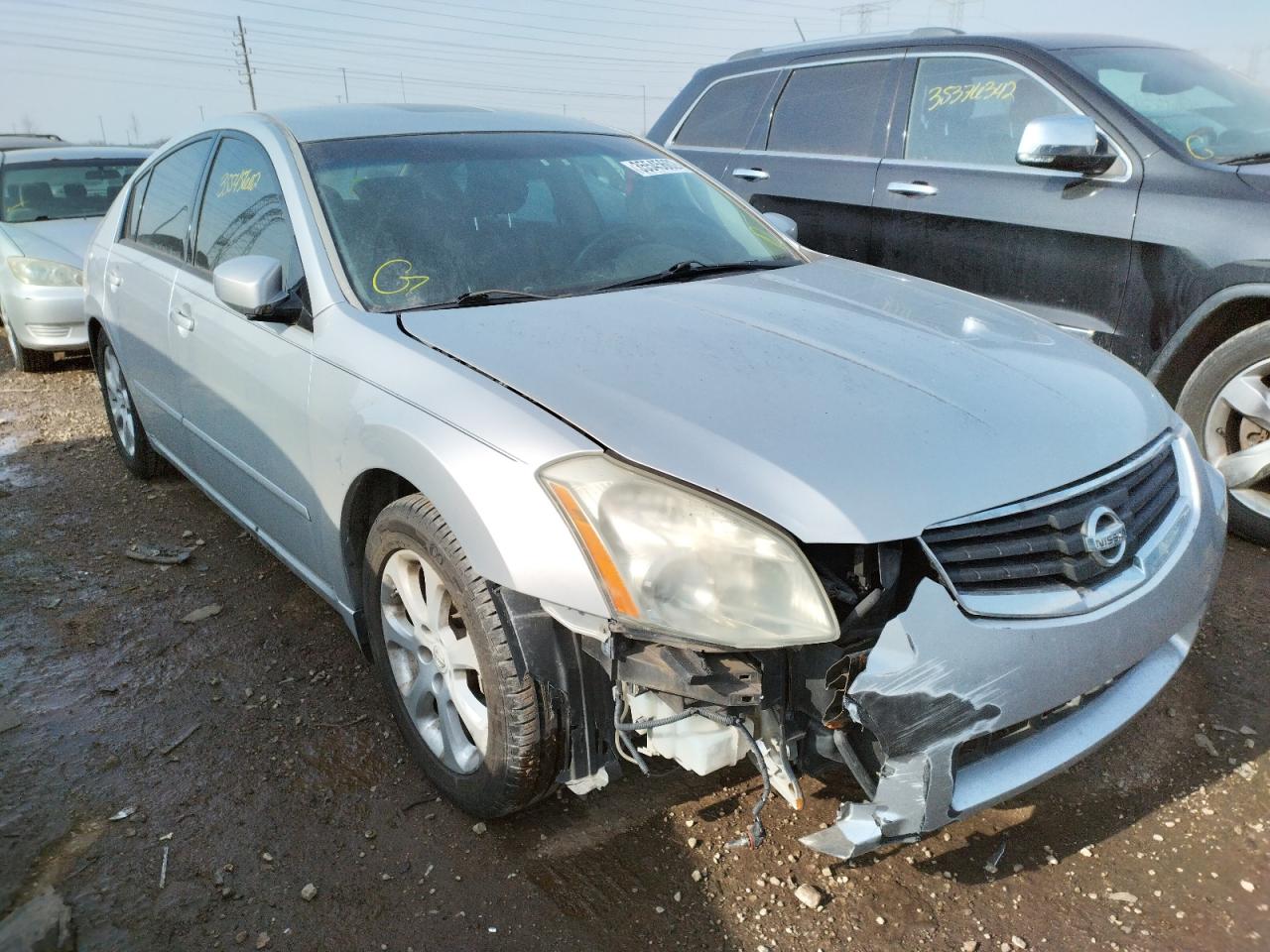 NISSAN MAXIMA SE 2008 with VIN 1N4BA41E88C820544 - Photo from auction