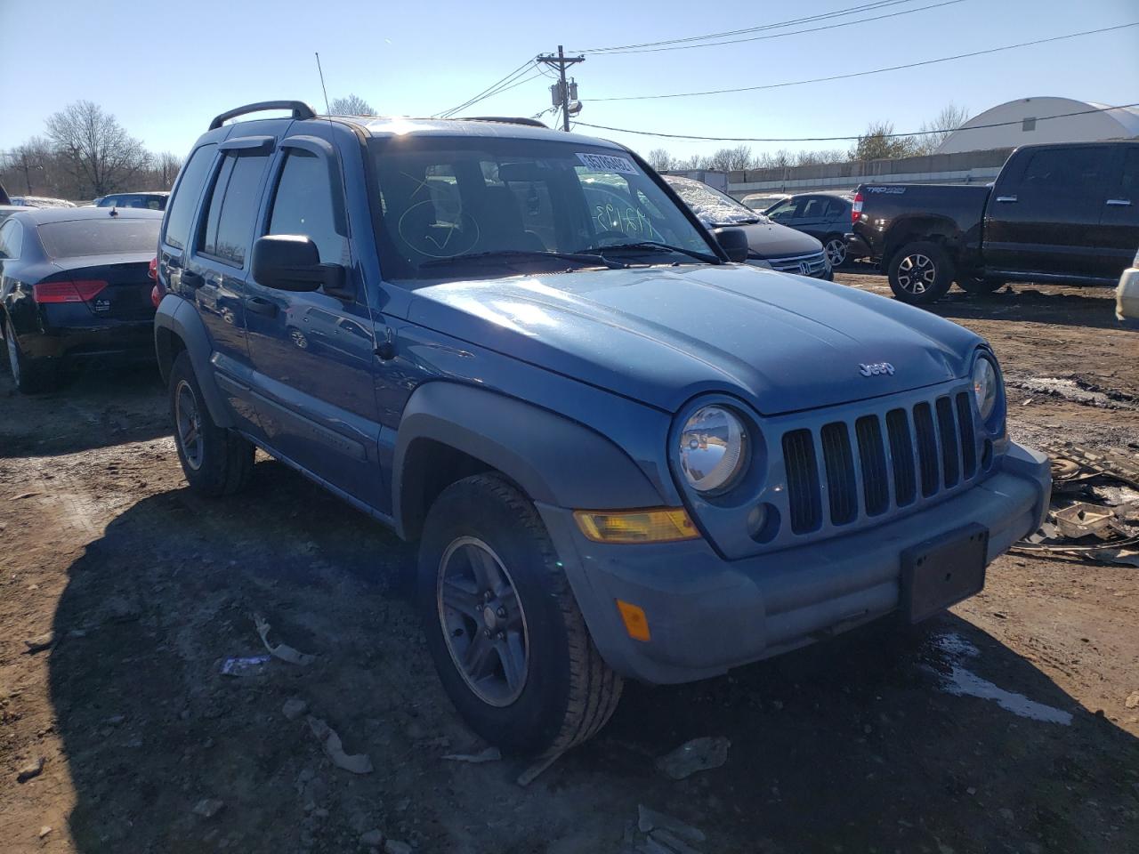 JEEP LIBERTY SP 2005 with VIN 1J4GL48K35W556028 - Photo from auction