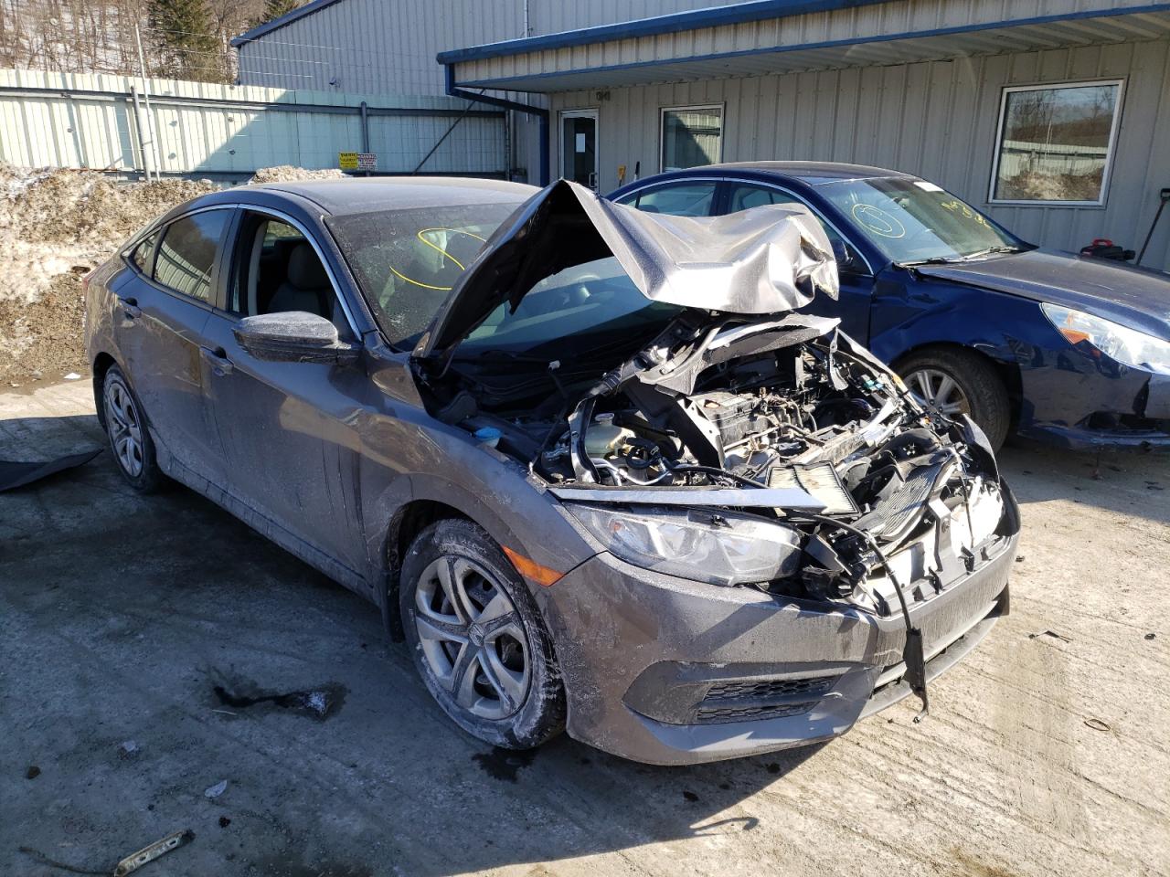 HONDA CIVIC LX 2016 with VIN 2HGFC2F50GH517080 - Photo from auction