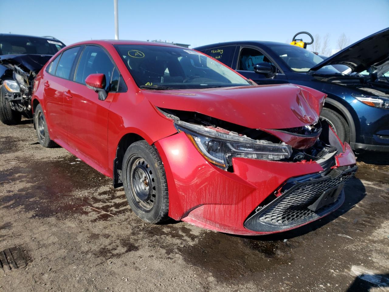 TOYOTA COROLLA LE 2020 with VIN 5YFBPRBE6LP034021 - Photo from auction