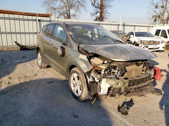 FORD ESCAPE SE 2013 with VIN 1FMCU0G95DUA21801 - Photo from auction