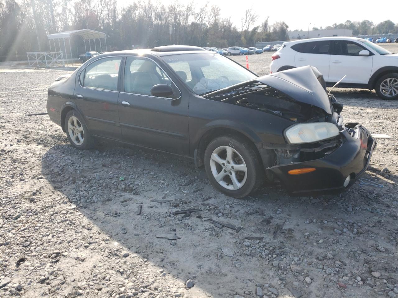 NISSAN MAXIMA 2001 with VIN JN1CA31D01T817372 - Photo from auction