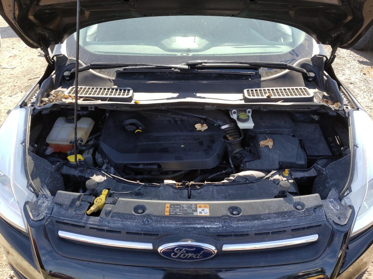 Photo 7 from auction – 2014 FORD ESCAPE SE with VIN 1FMCU9GX7EUD86324