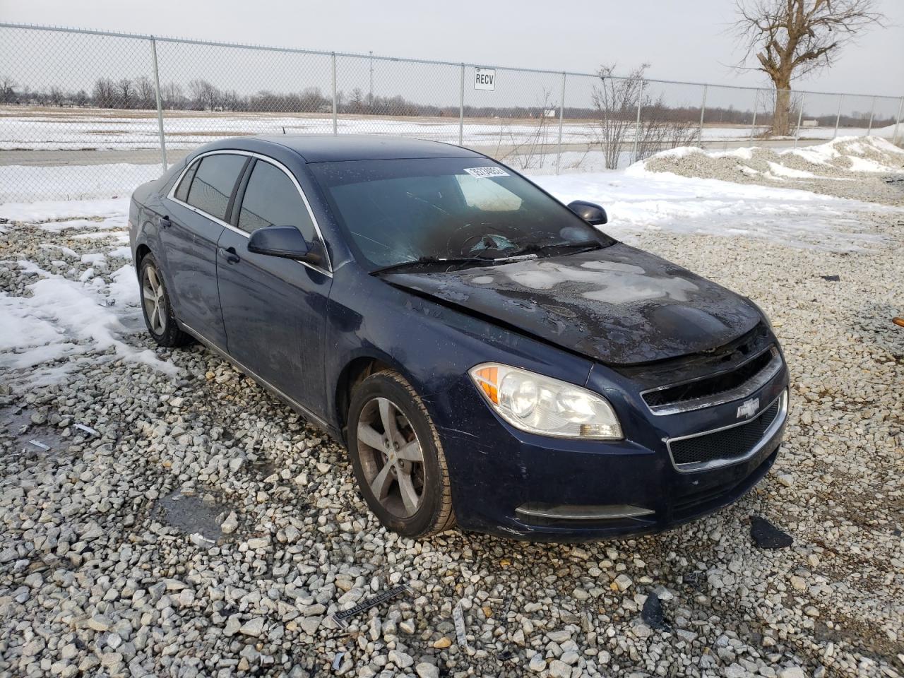 Photo 1 from auction – 2011 CHEVROLET MALIBU 1LT with VIN 1G1ZC5E11BF396171