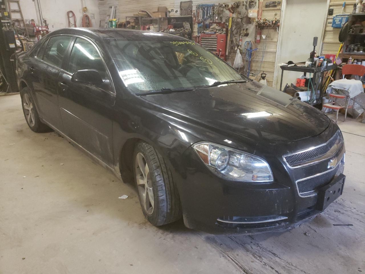 CHEVROLET MALIBU 1LT 2011 with VIN 1G1ZC5EU7BF245071 - Photo from auction