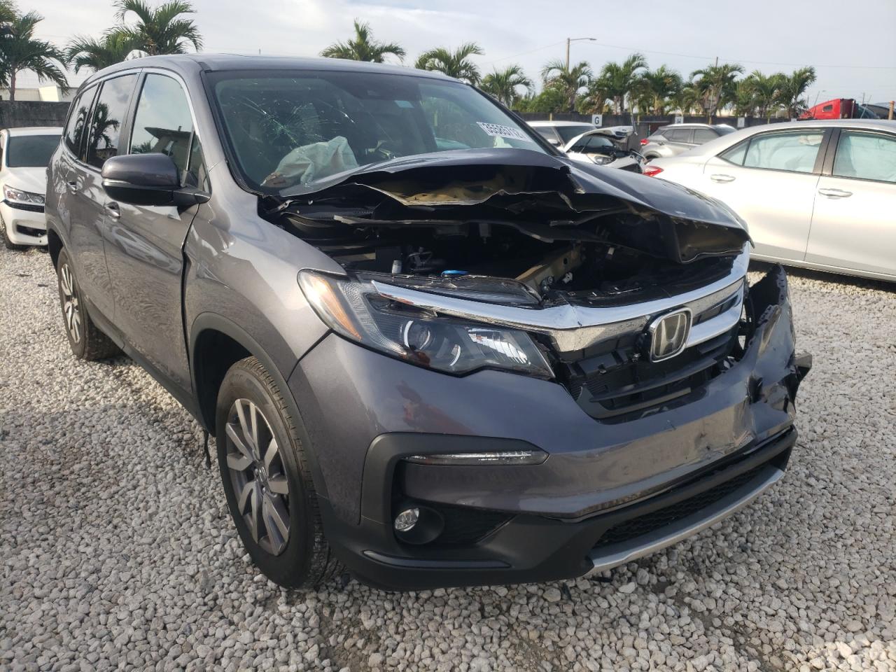 HONDA PILOT EXL 2021 with VIN 5FNYF5H50MB026829 - Photo from auction