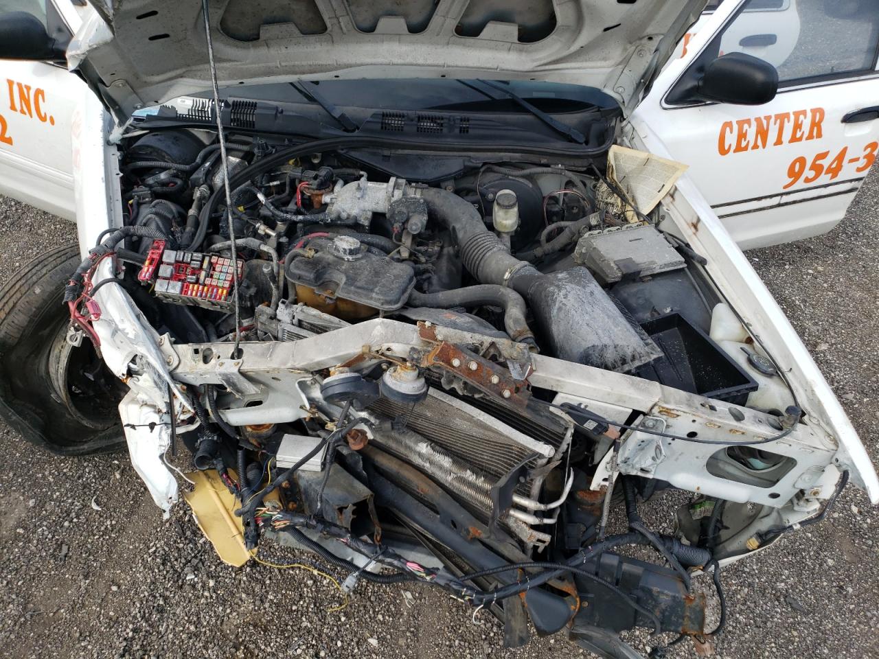 Photo 7 from auction – 2009 FORD CROWN VICT with VIN 2FAHP71V69X133755