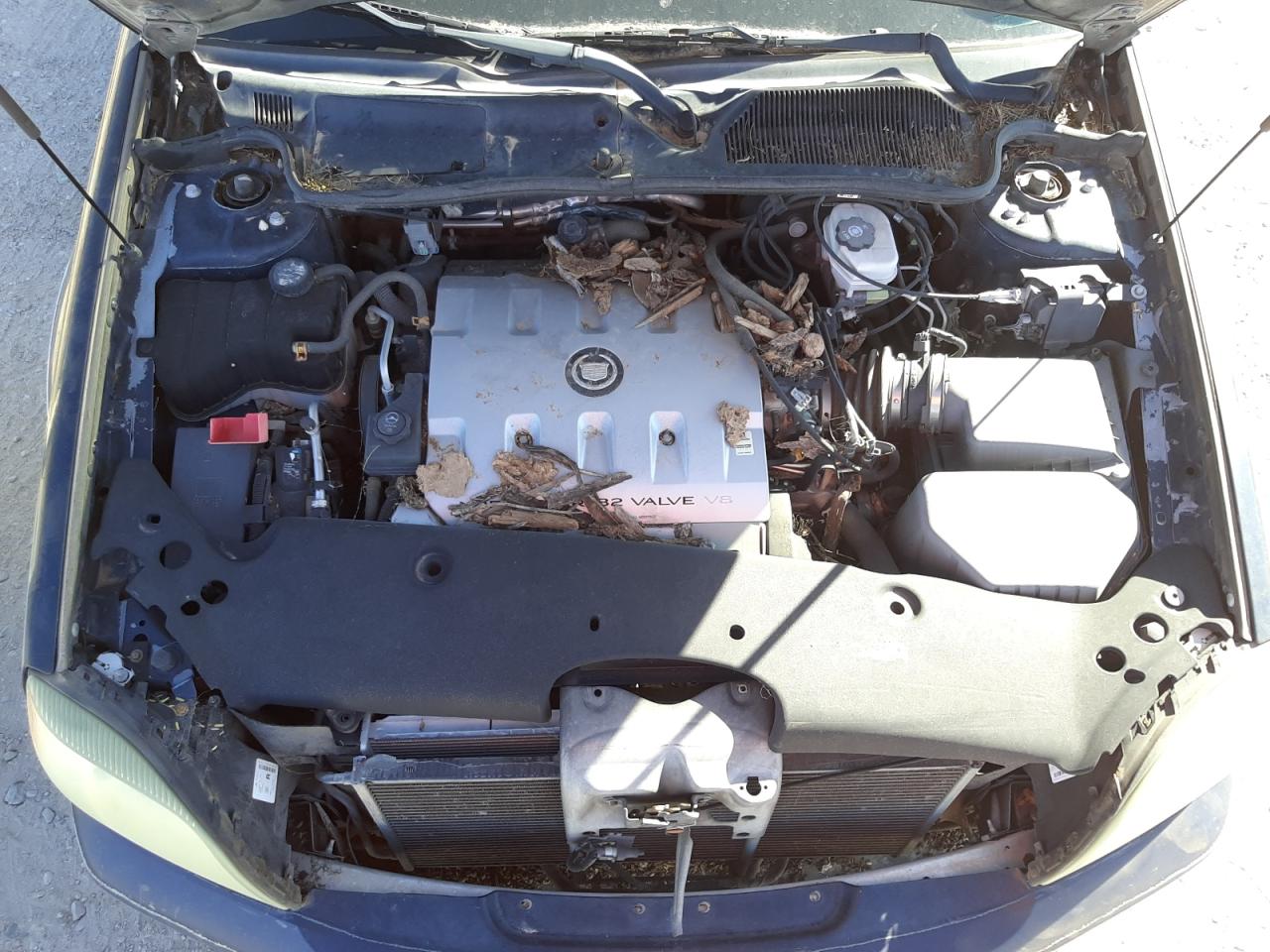 Photo 7 from auction – 2003 CADILLAC DEVILLE with VIN 1G6KD57Y63U219082