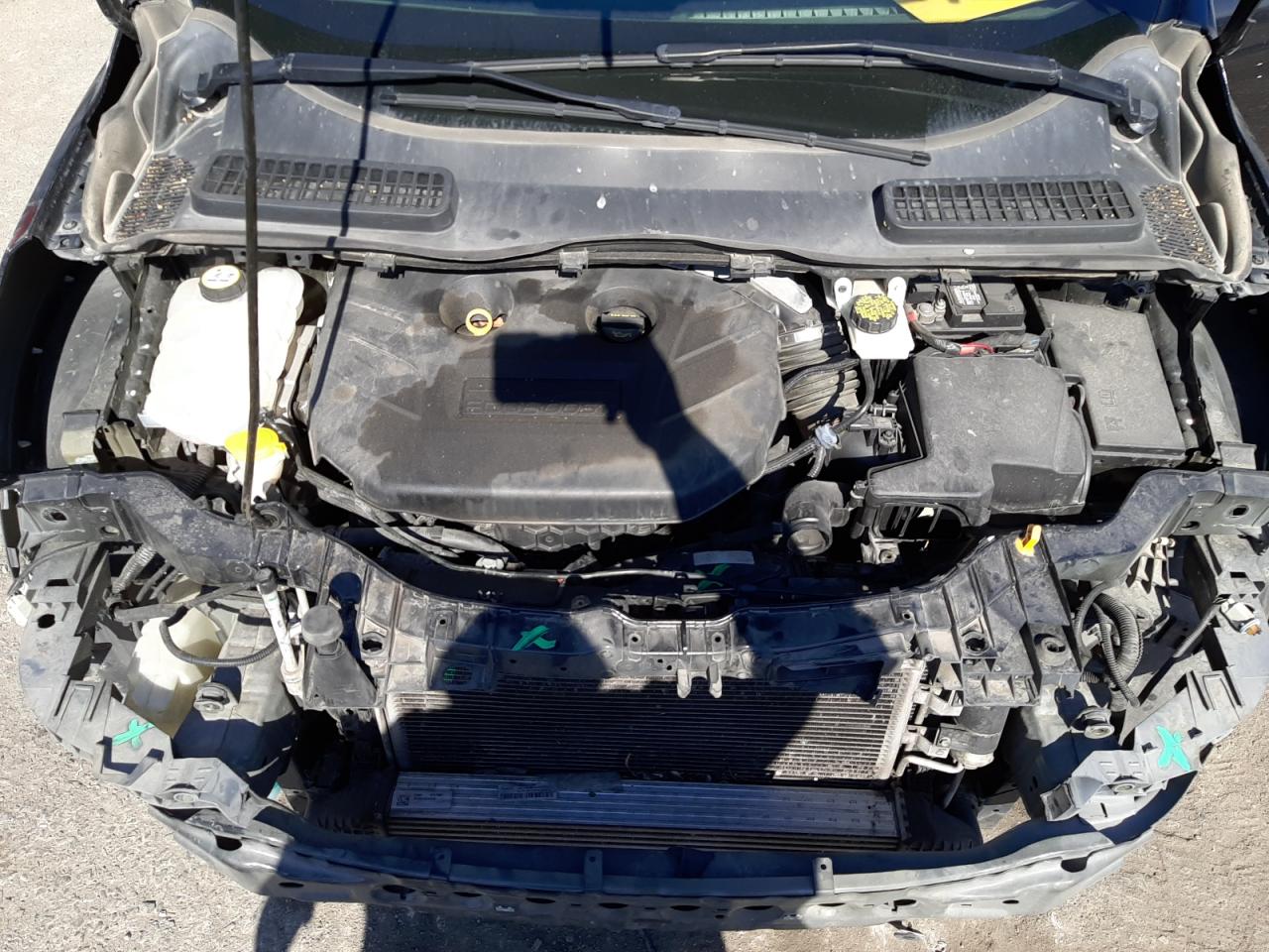 Photo 7 from auction – 2013 FORD ESCAPE SEL with VIN 1FMCU0H99DUA09780