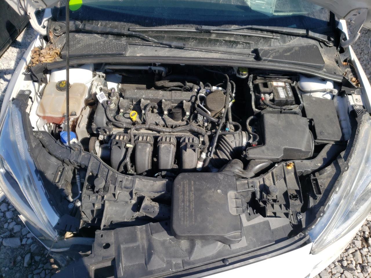 Photo 7 from auction – 2016 FORD FOCUS TITA with VIN 1FADP3N26GL307938