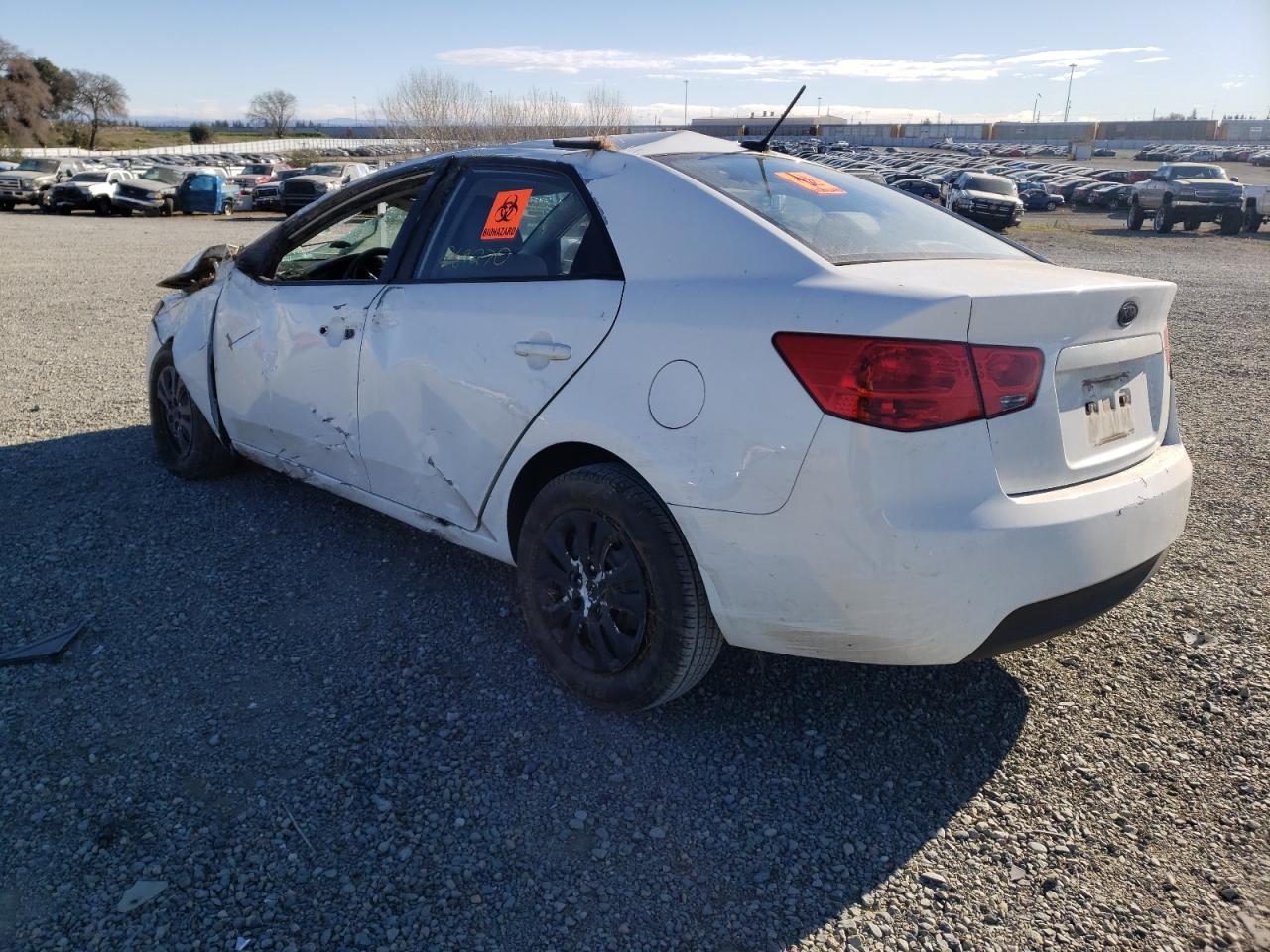 Photo 3 from auction – 2010 KIA FORTE EX with VIN KNAFU4A20A5149340