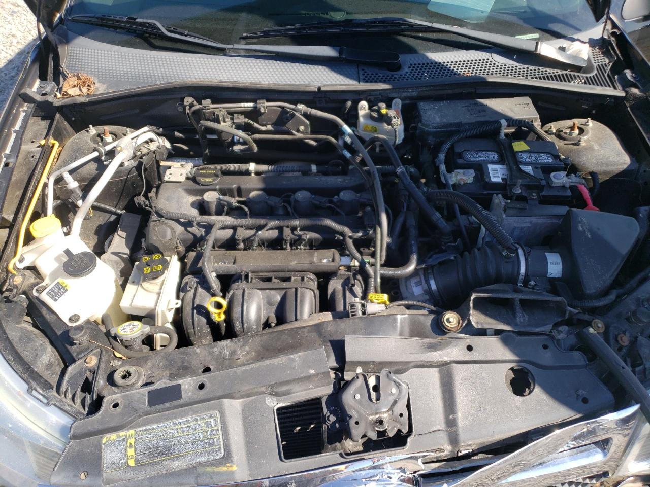 Photo 7 from auction – 2011 FORD FOCUS SE with VIN 1FAHP3FN2BW195091