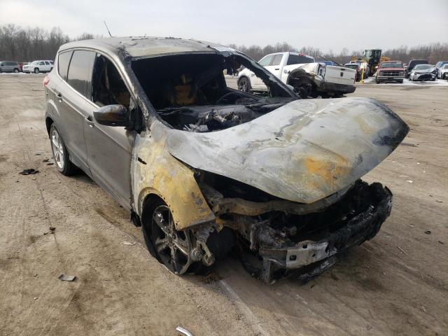 FORD ESCAPE SE 2014 with VIN 1FMCU9GX9EUB65789 - Photo from auction