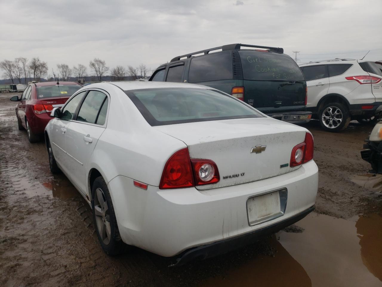 Photo 3 from auction – 2011 CHEVROLET MALIBU 1LT with VIN 1G1ZC5EU3BF305105