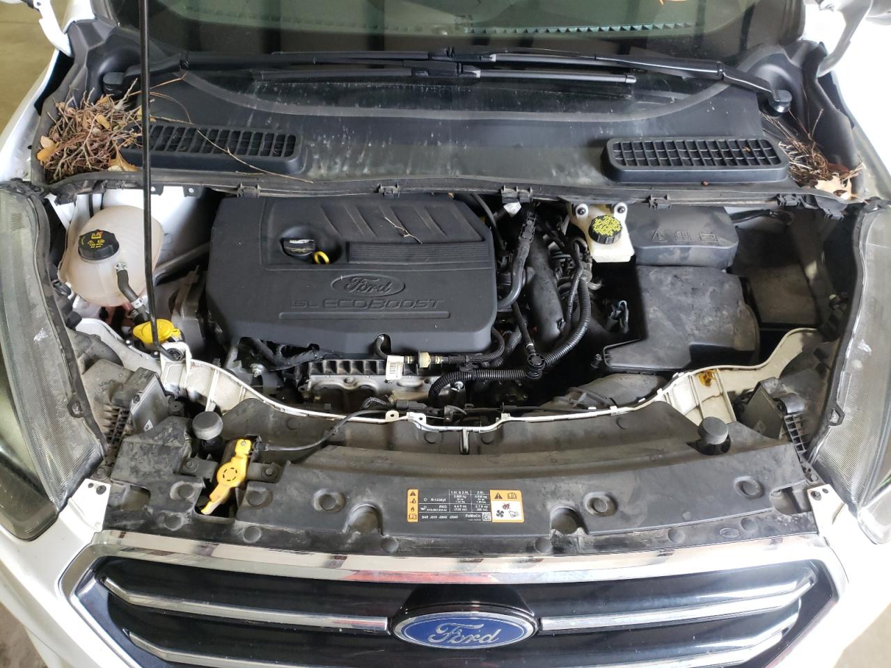 Photo 7 from auction – 2018 FORD ESCAPE SE with VIN 1FMCU0GD8JUB42404
