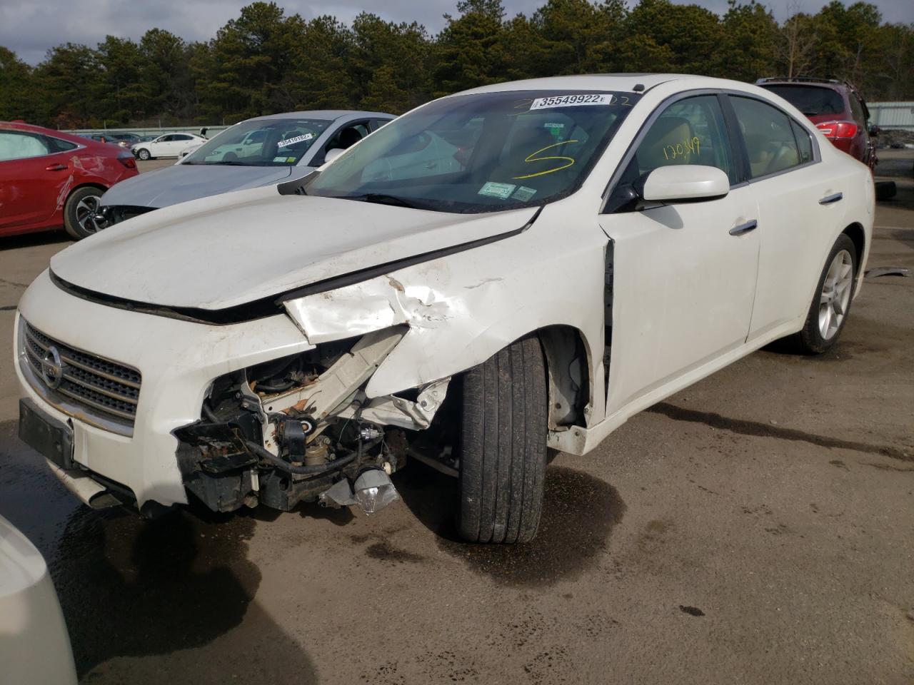 Photo 2 from auction – 2009 NISSAN MAXIMA S with VIN 1N4AA51EX9C851023
