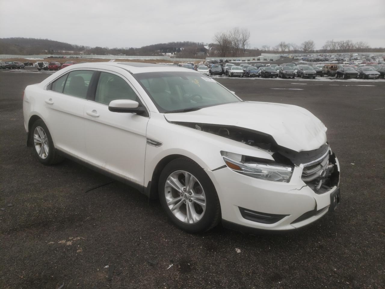 FORD TAURUS SEL 2013 with VIN 1FAHP2E99DG183645 - Photo from auction