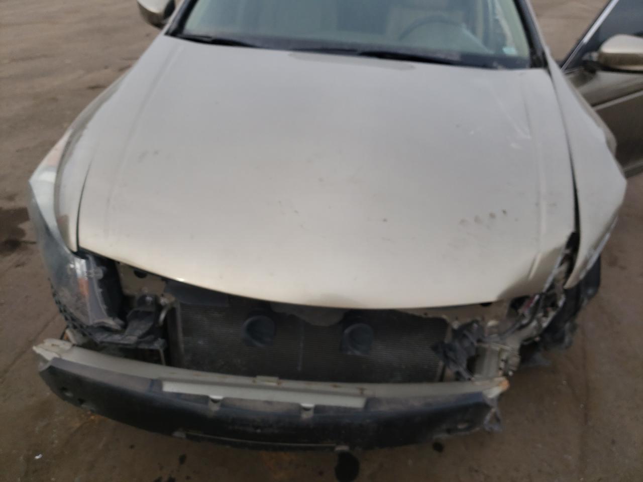 Photo 7 from auction – 2010 HONDA ACCORD EXL with VIN 1HGCP2F82AA080397